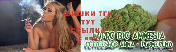 хмурый Мегион