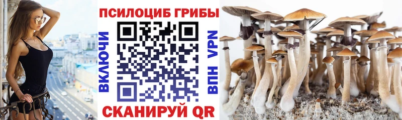 Галлюциногенные грибы мицелий Омск
