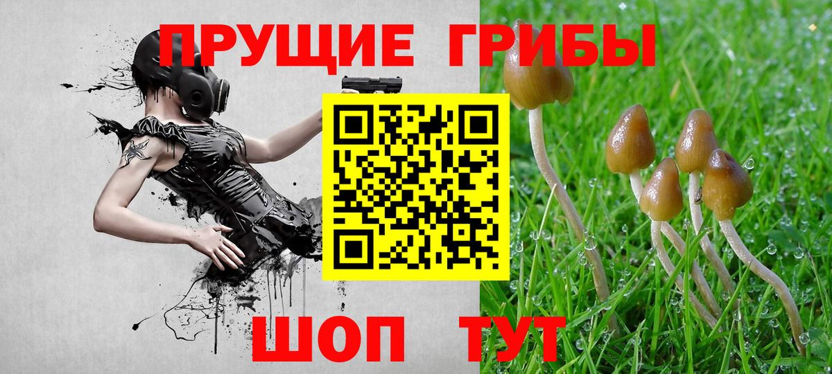 Псилоцибиновые грибы Magic Shrooms Омск