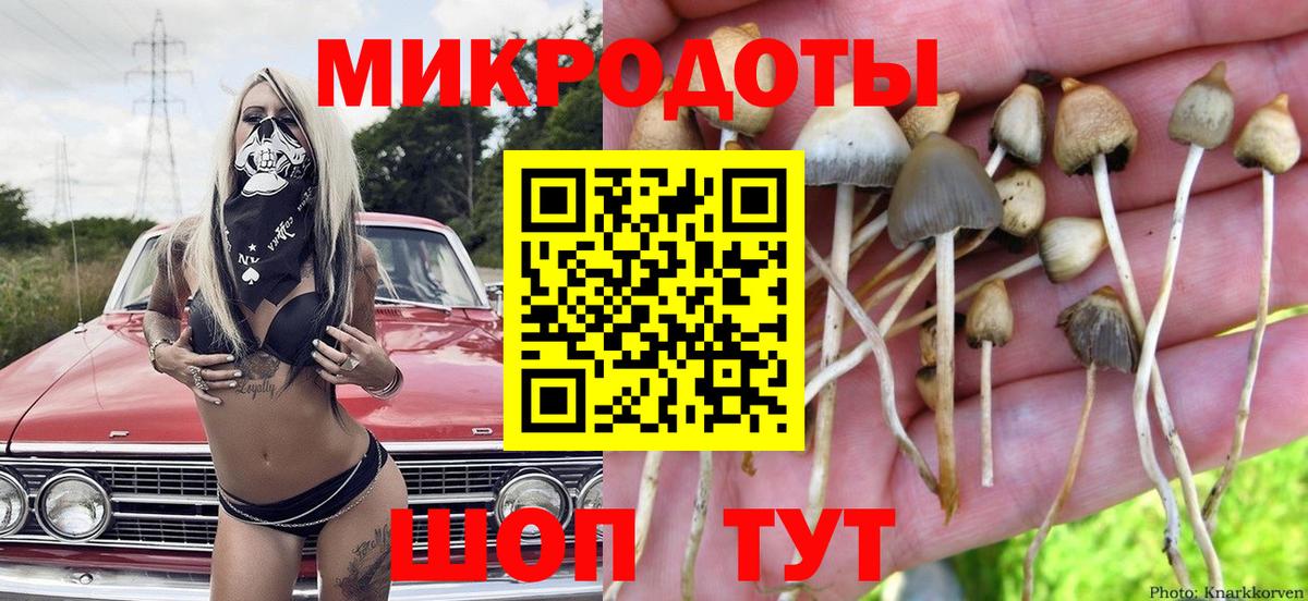 Псилоцибиновые грибы Psilocybe  Омск 