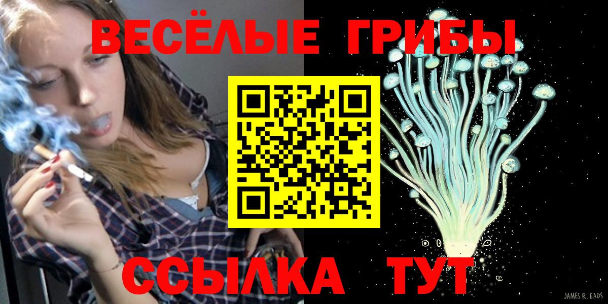 Галлюциногенные грибы GOLDEN TEACHER  Галлюциногенные грибы Psilocybe  Вход с VPN  Омск 
